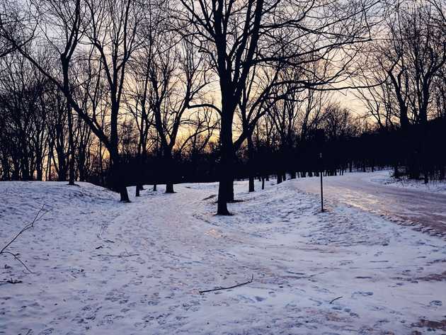 Running on the slippery Mont-Royal, December 2018.