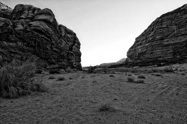 The Wadi Rum
