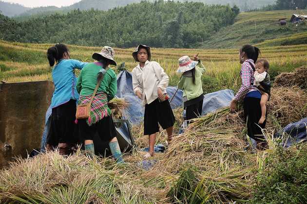 Workers of the rice terraces